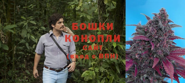 Альфа ПВП Зерноград