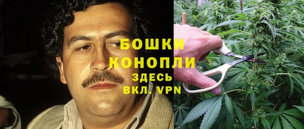 дживик Зеленодольск